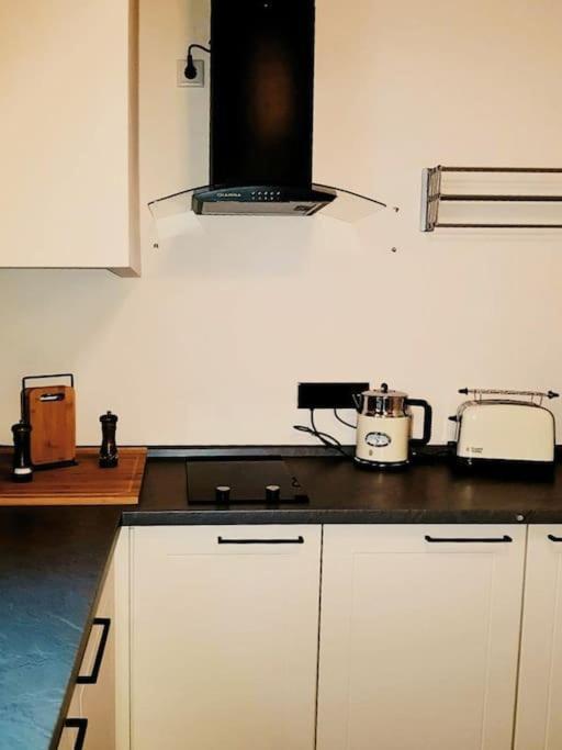 Komfortables Apartment Im Zentrum Erfurts Екстериор снимка