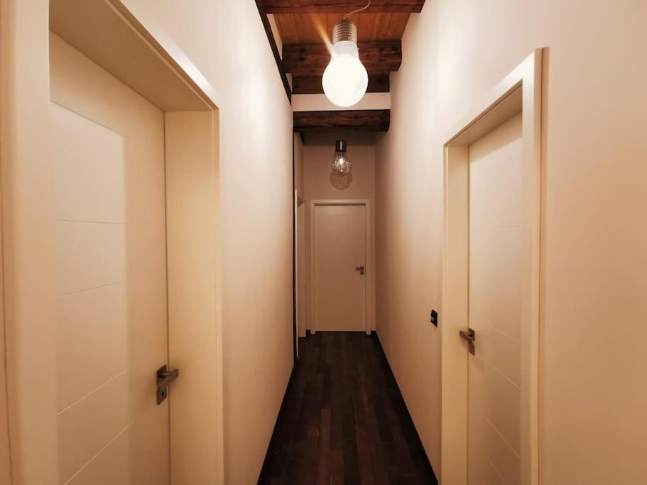 Komfortables Apartment Im Zentrum Erfurts Екстериор снимка
