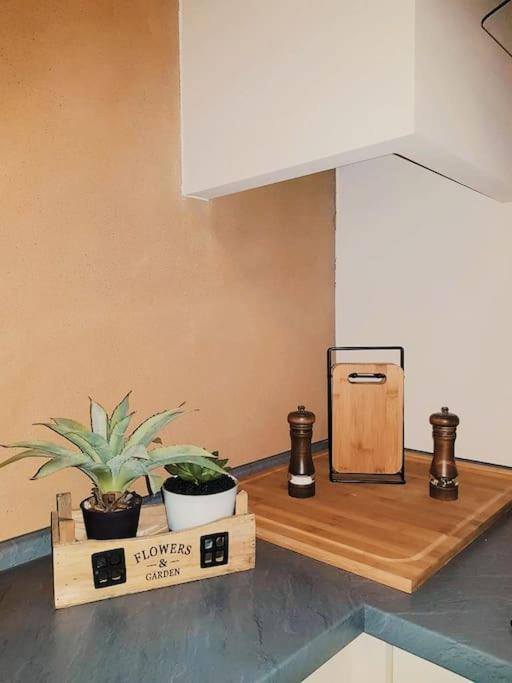 Komfortables Apartment Im Zentrum Erfurts Екстериор снимка