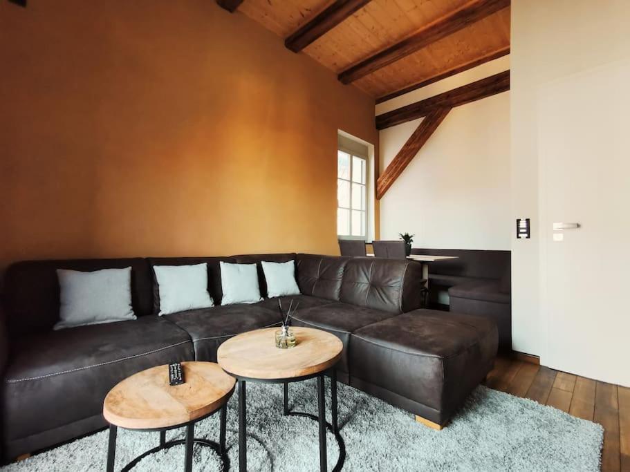 Komfortables Apartment Im Zentrum Erfurts Екстериор снимка
